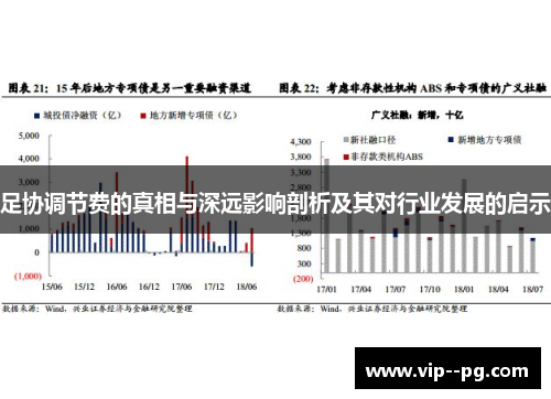 足协调节费的真相与深远影响剖析及其对行业发展的启示