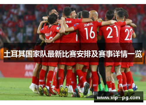 土耳其国家队最新比赛安排及赛事详情一览