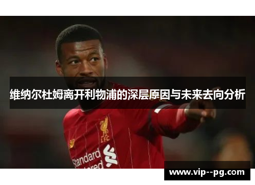 维纳尔杜姆离开利物浦的深层原因与未来去向分析