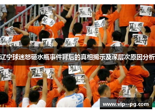 辽宁球迷怒砸水瓶事件背后的真相揭示及深层次原因分析
