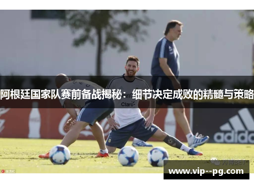阿根廷国家队赛前备战揭秘：细节决定成败的精髓与策略