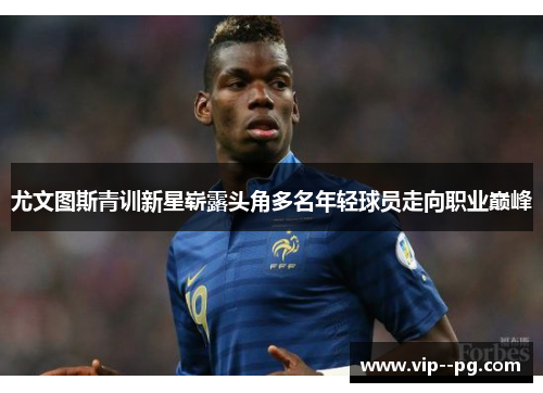 尤文图斯青训新星崭露头角多名年轻球员走向职业巅峰 尤文图斯青训新星崭露头角多名年轻球员走向职业巅峰