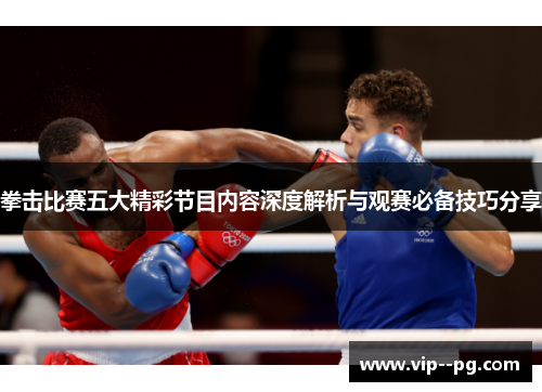 拳击比赛五大精彩节目内容深度解析与观赛必备技巧分享