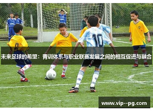 未来足球的希望：青训体系与职业联赛发展之间的相互促进与融合