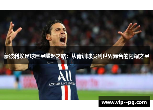 蒙彼利埃足球巨星崛起之路：从青训球员到世界舞台的闪耀之星