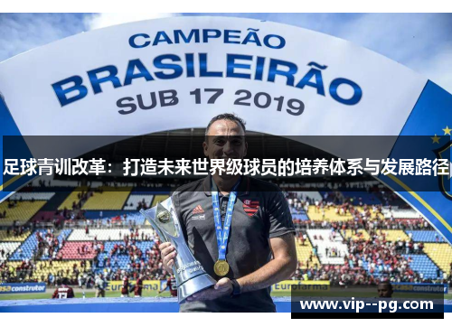 足球青训改革：打造未来世界级球员的培养体系与发展路径