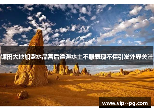 镰田大地加盟水晶宫后遭遇水土不服表现不佳引发外界关注