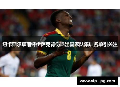 纽卡斯尔联前锋伊萨克背伤退出国家队集训名单引关注