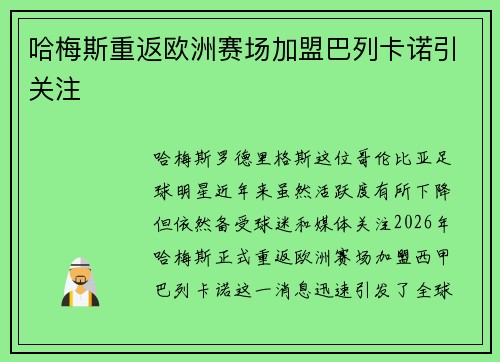 哈梅斯重返欧洲赛场加盟巴列卡诺引关注